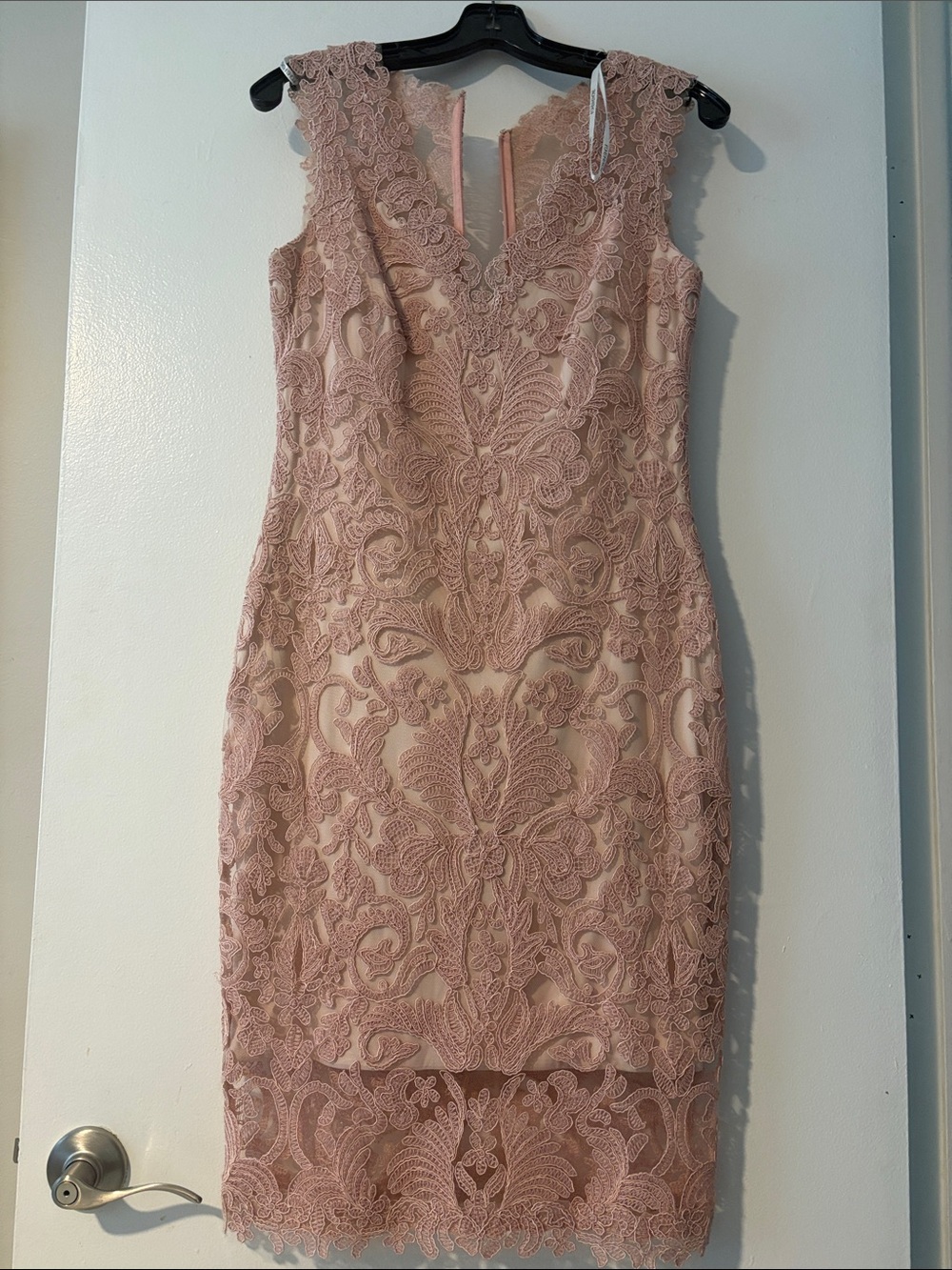 NWOT-🫶 Tadashi Shoji Blush Lace Sheath Dress